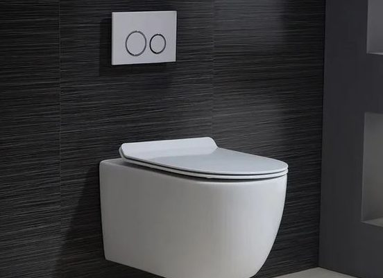 Dual Flush Tank