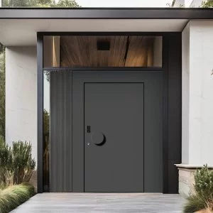 Entrance Modern Pivot Doors